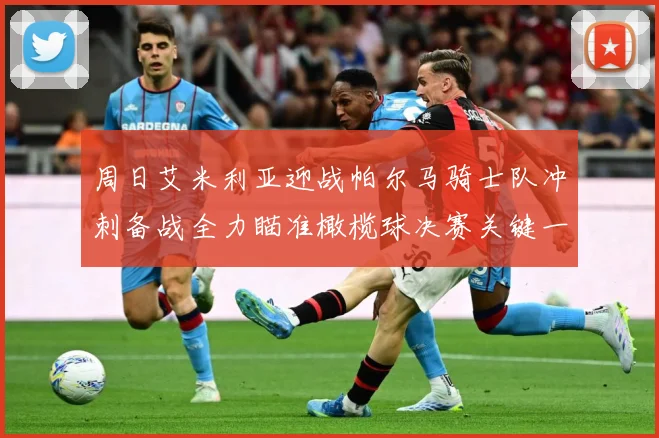 周日艾米利亚迎战帕尔马骑士队冲刺备战全力瞄准橄榄球决赛关键一成长观察：最新赛事动态与深度分析