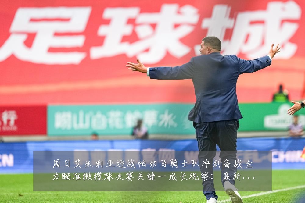 周日艾米利亚迎战帕尔马骑士队冲刺备战全力瞄准橄榄球决赛关键一成长观察:最新赛事动态与深度分析